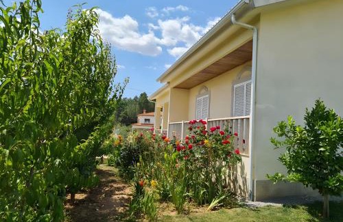 Vila Real Casa | Panoias Country House