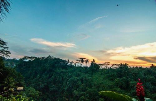 Melayang Villa | Panorama 4BR Villa Exclusive Presidential ZN58
