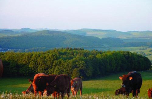 Eulenbis Apartamento | Panorama Gasthof Stemler