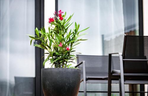 Bystrany Apartamento | Panorama Luxury House