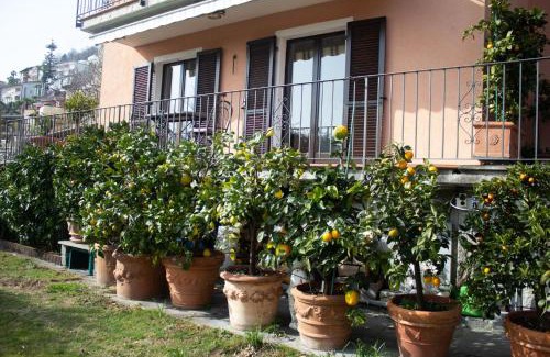 Orselina Apartamento | Panoramic Orselina