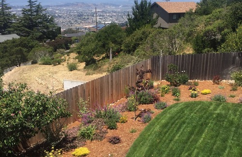 El Cerrito Casa | Panoramic Views of San Francisco in Berkeley Hills