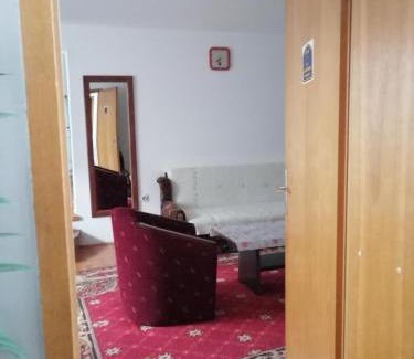 Niska Banja Apartamento | Pansion Velickovic