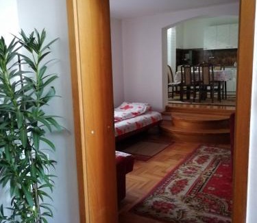 Niska Banja Apartamento | Pansion Velickovic