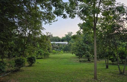 Suan Phueng Casa | PapaVacay สวนผึ้ง