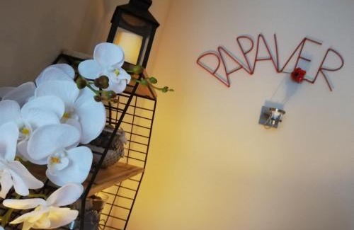 Zielona Gora Apartamento | Papaver Apartament