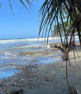 Cahuita Casa | Papaya Wildlife Lodge