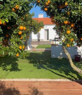 Estremoz Casa | Paraíso a Dois em Estremoz