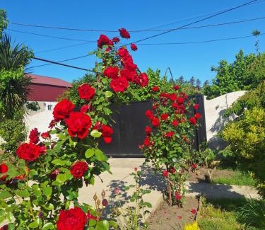 Kobuleti Apartamento | Paradise cottage