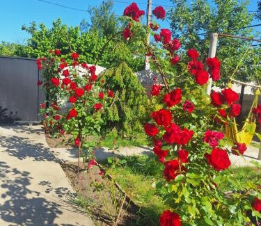 Kobuleti Apartamento | Paradise cottage