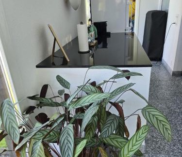 Spiez Casa | Paradise on the lake