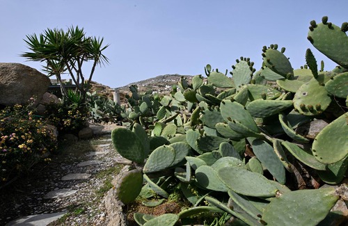 Platis Gialos Villa | Paraga Scorpios Villa 2 7mins walk to beach by Calypso Sunset Villas