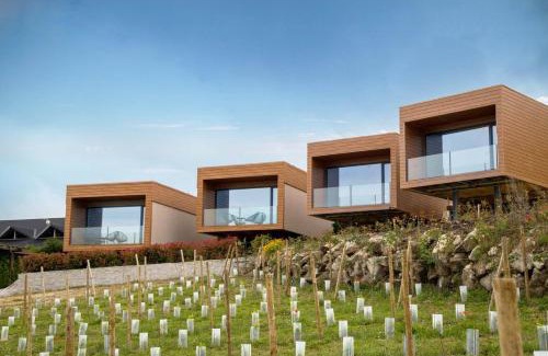 Lamego Cabina | Paraiso Douro