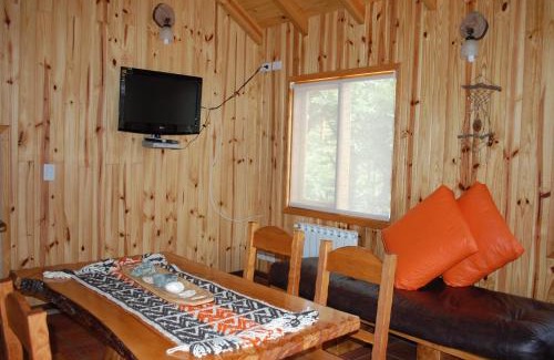 Moquehue Apartamento | Parajes del lejano sur cabaña El Cardo