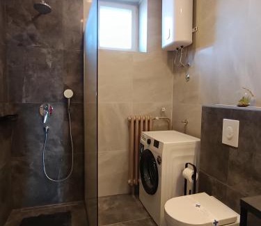 Spadici Apartamento | Parentina apartment