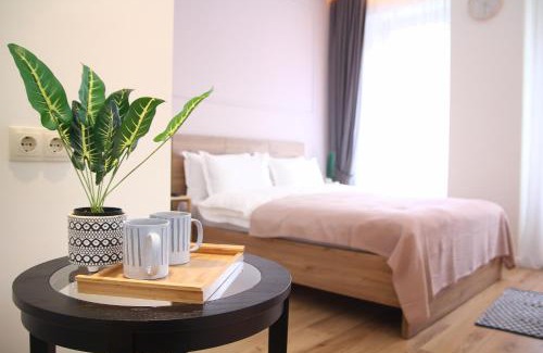 mtatsminda Apartamento | Parilament on Rustaveli 4 rooms