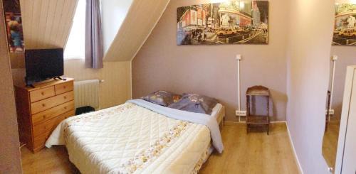 Cesson Casa | Parisian Forest