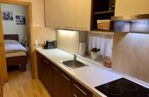 Nove Mesto nad Vahom Casa | Park - apartmány na prenájom