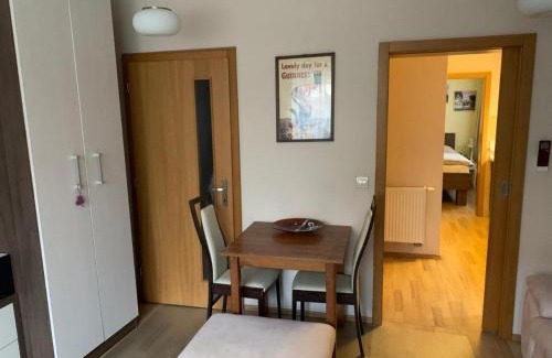 Nove Mesto nad Vahom Casa | Park - apartmány na prenájom