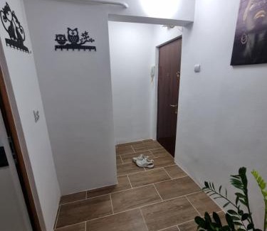 Braila Apartamento | Park Avenue 3