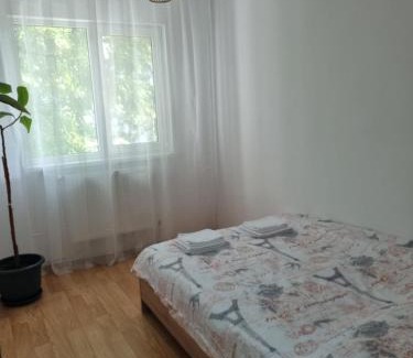 Braila Apartamento | Park Avenue 3
