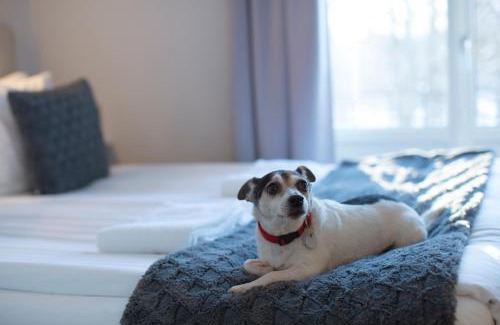 Kristinehamn Hotel | Park Hotell