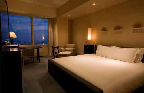 Nishi-Shinjuku Hotel | Park Hyatt Tokyo