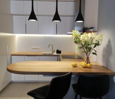 Panevezys Apartamento | Parko rezidencija apartments - SELF CHECK-IN