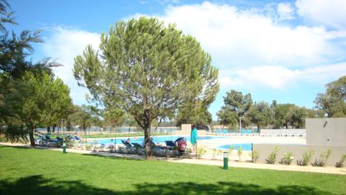 Ponte de Sor Complejo | Parque de Campismo Orbitur Montargil