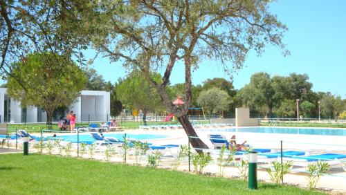 Ponte de Sor Complejo | Parque de Campismo Orbitur Montargil