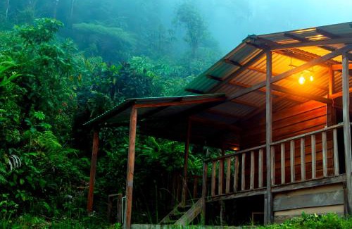 Chameza Cabina | Paseo Por Las Nubes Birding Lodge