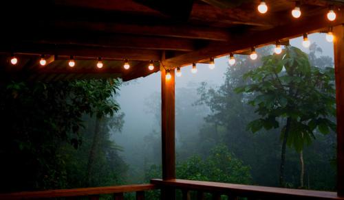 Chameza Cabina | Paseo Por Las Nubes Birding Lodge