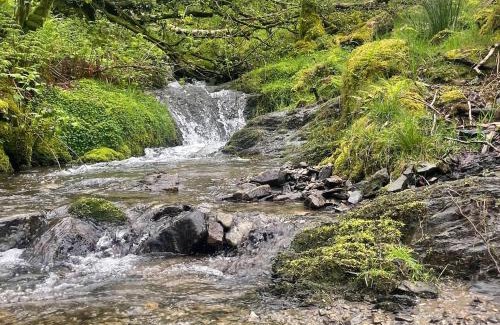 Brechfa Casa | Pass the Keys Y Bwythn Welsh Countryside Retreat UK Getaway
