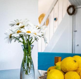 Skopelos Casa | Pastalia Cottage