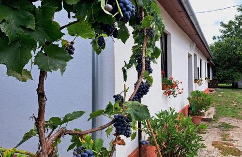 Szilvasvarad Apartamento | Patakparty Lak