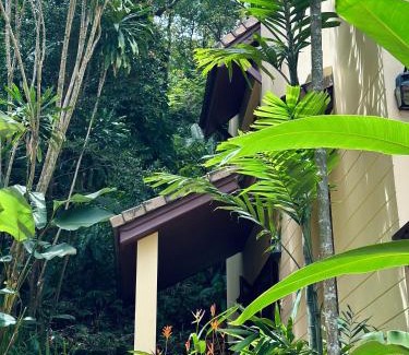 Patong Casa | Patong Beach森林屋111