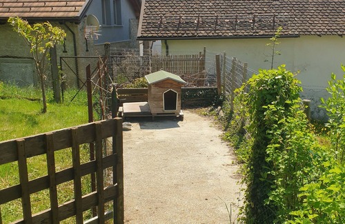 Ovaro Apartamento | Patty House, Liariis di Ovaro - Carnia - Udine, a few kilometers from Zoncolan
