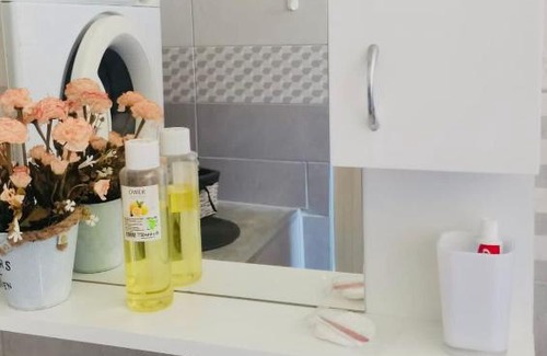 Kragujevac Apartamento | Paun 034