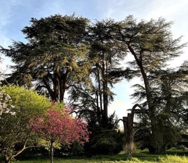 Benais Casa | Pavillon des Écureuils au Château Royal de Benays