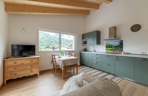 Primiero San Martino di Castrozza Apartamento | Pavione - Caminetto