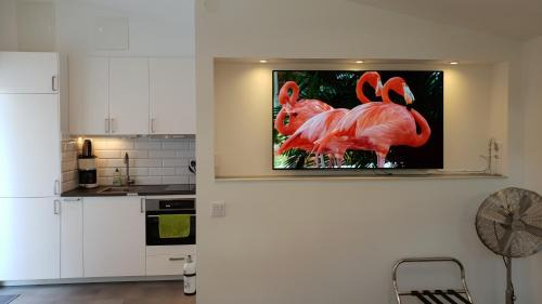 Centrala staden Apartamento | PAX Apartments