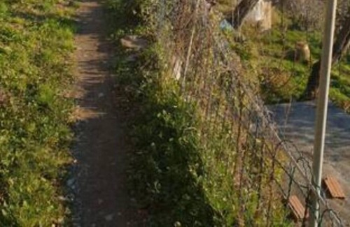 Sori Apartamento | Paz entre los olivos y el mar