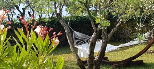 Opatija Apartamento | Peace of mind N 3