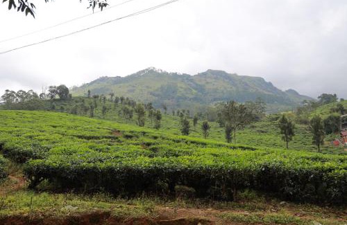 Chithirapuram Casa | Peace Valley Home Stay