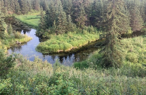 Central Alberta Cabina | Peaceful Cabin near Onoway, AB