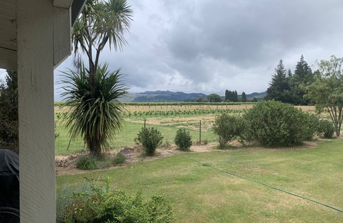 Renwick Cabaña | Tranquila cabaña rodeada de jardines en la ruta del vino Marlborough