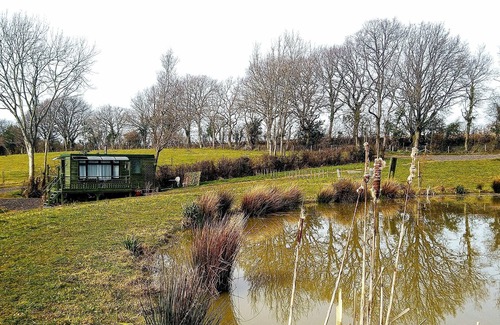 Hadlow Down Apartamento | Peaceful en-suite cabin all mod cons. Close to and overlooking our fishing lake.