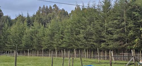 Nyandarua Chalet De Esquí | Peaceful Farm House facing the Aberdares