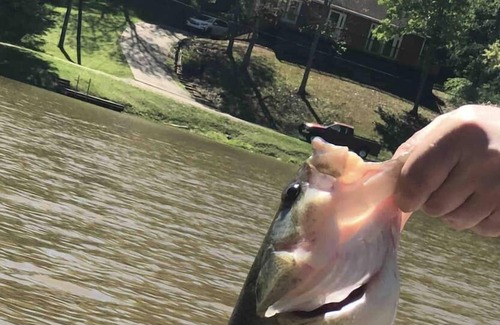 Cross Lanes Cabina | Peaceful fishin’ camp on a lake, bring your dog, and fishing pole.