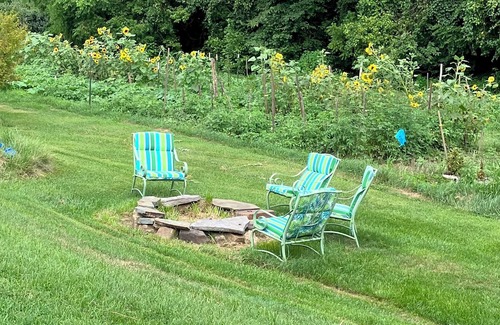 Lexington Cabaña | Peaceful Gardenside cottage 5 minutes from downtown Lexington VA